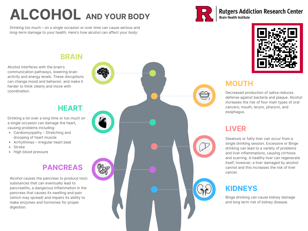 alt="Diagram showing how alcohol affects major body organs including the heart, brain, liver, and kidneys">